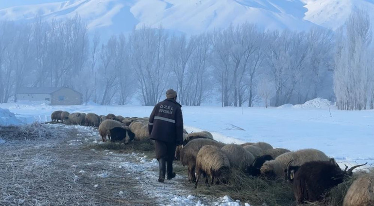 Bir köy karantinaya alındı: Bölgeye giriş ve çıkışlar durduruldu Bir köpek ısırması sonucu oldu