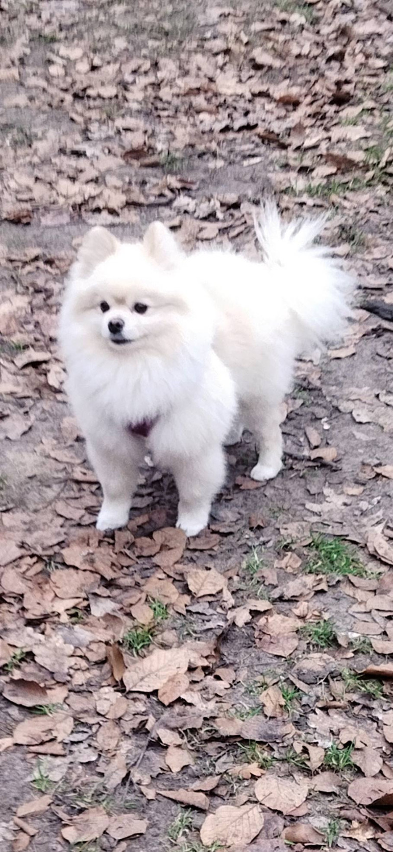 Komşudan iş teklifi var