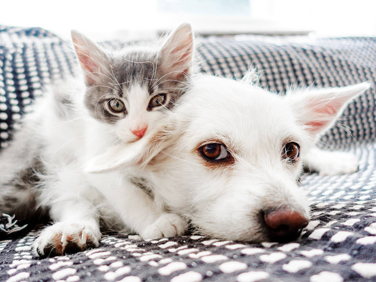 Komşudan iş teklifi var