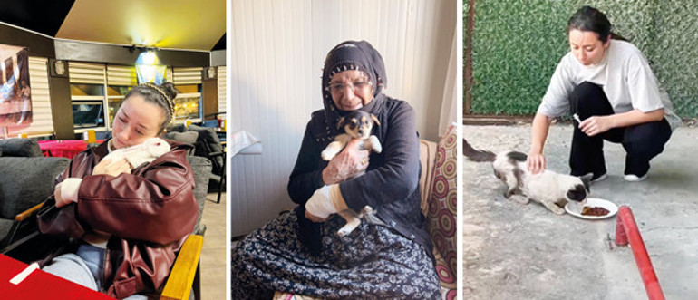 ‘Tıpkı kapımızdaki masum sokak hayvanları gibiydik, onları daha iyi anladım’