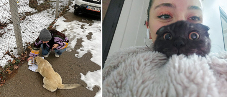 ‘Tıpkı kapımızdaki masum sokak hayvanları gibiydik, onları daha iyi anladım’