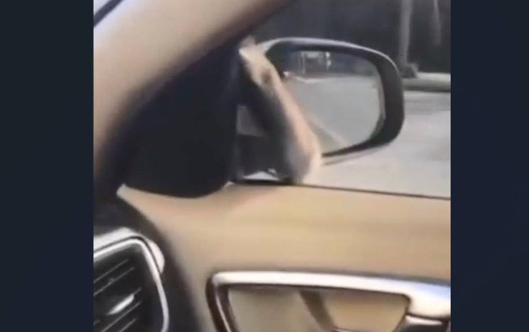 Çareyi polis çevirmesine girmekte buldu