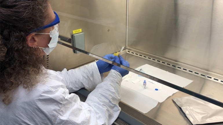 Bilim insanları, bakteri avcısı yapay virüs üretti