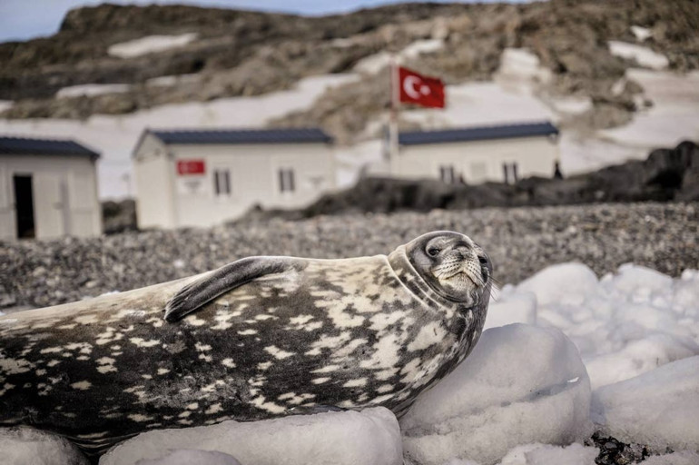 Türkiye 10. kez Beyaz Kıta’da Türkiye 10. kez Beyaz Kıta’da