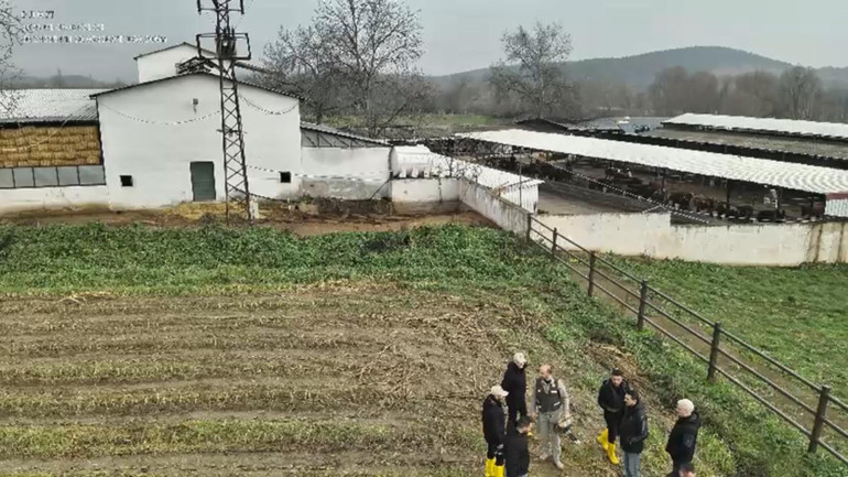  Kaybolan 3 kişi öldürülerek gömülmüş 11 şüpheli gözaltına alındı