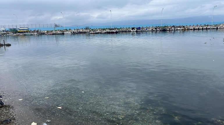  Cani anneden kan donduran ifade