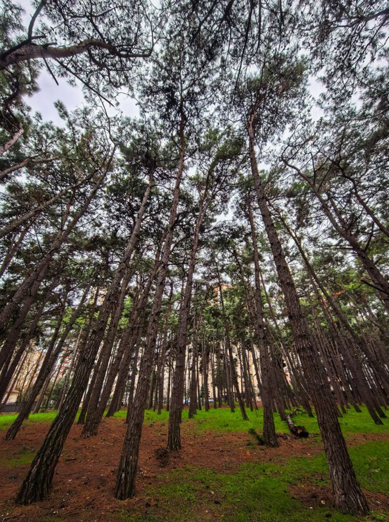 Neden Katlanabilir Telefon Almalısınız, İşte Cevabı : Huawei Mate X7