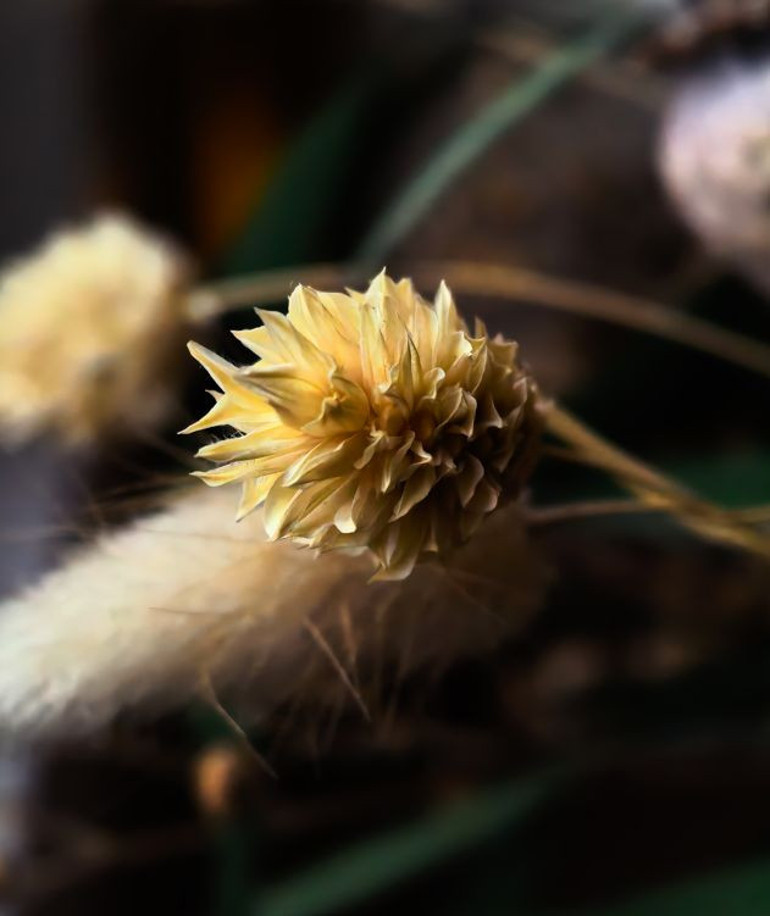 Neden Katlanabilir Telefon Almalısınız, İşte Cevabı : Huawei Mate X7