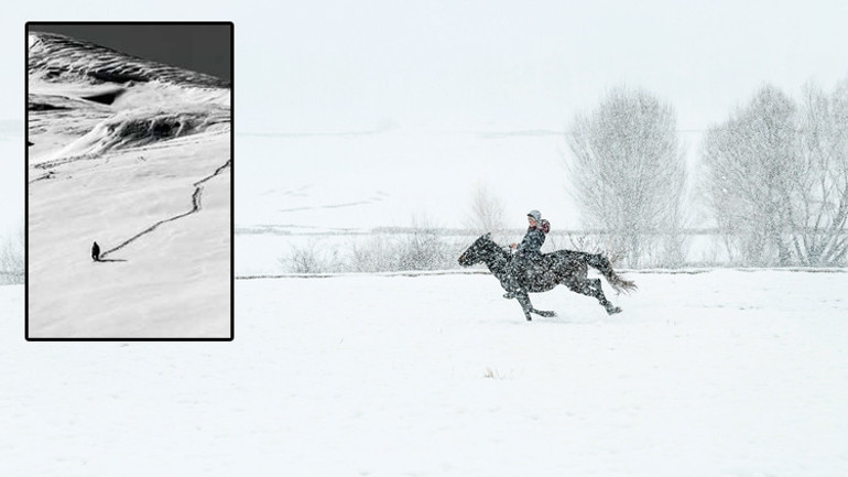 45’inci yıla özel müzayede