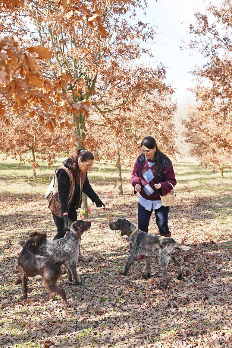Konsantrasyon trüf avının en belirleyici unsuru
