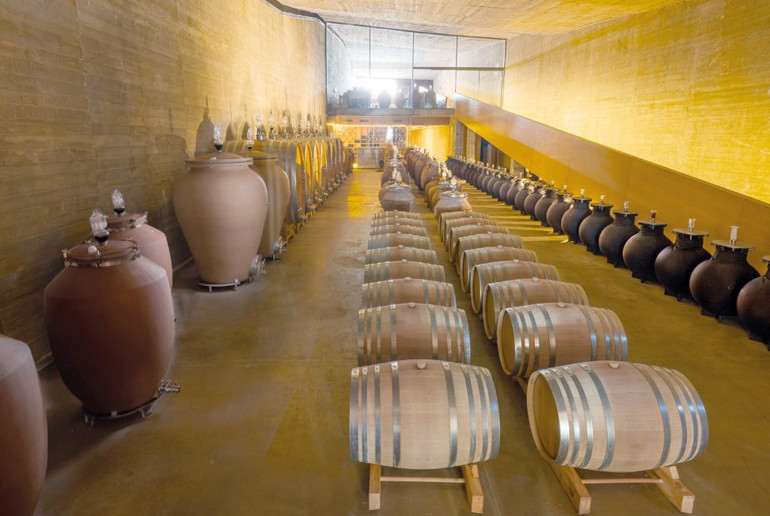 BİR DÜŞÜN İÇİNDE