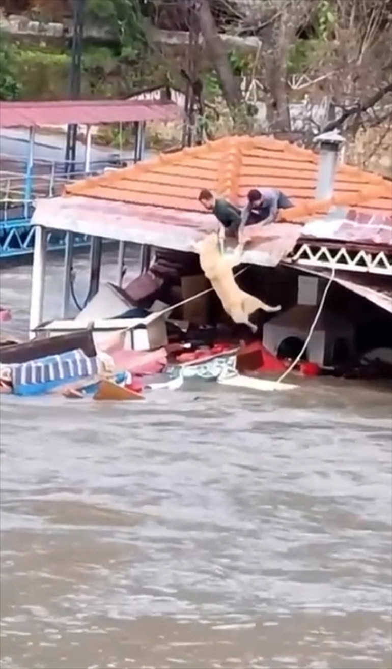 Antalyada kuvvetli yağış | Riskli alandaki vatandaşlar tahliye edildi, barınakta mahsur kalan köpekler kurtarıldı