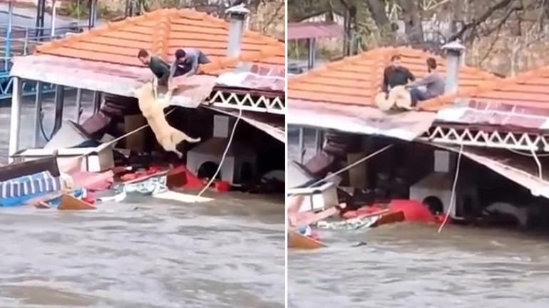 Antalyada kuvvetli yağış | Riskli alandaki vatandaşlar tahliye edildi, mahsur kalan köpekler kurtarıldı