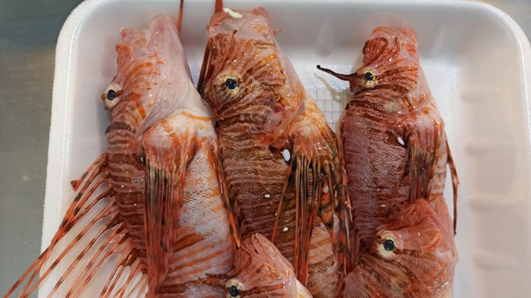 Tezgahta satışı yasak: Zehirli olmasına rağmen özel müşterisi var