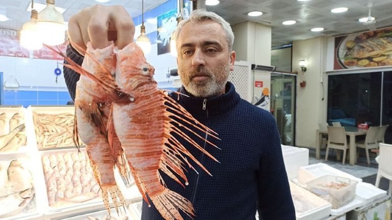 Tezgahta satışı yasak: Zehirli olmasına rağmen özel müşterisi var