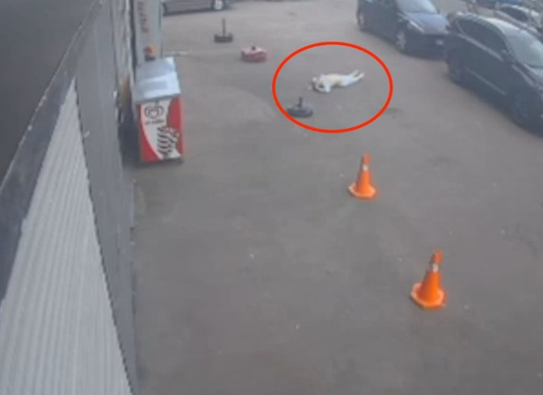 Üniversiteyi yasa boğan ölüm... Doç. Dr. Gülçin Bilgin Turnaya son veda