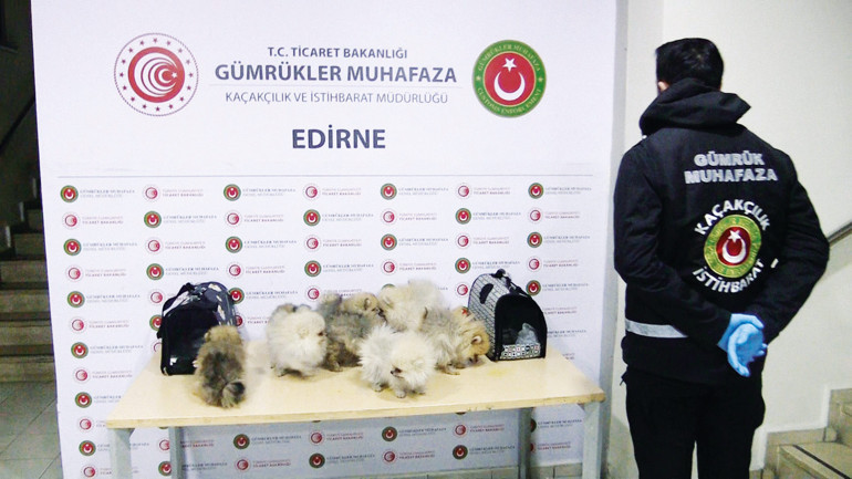 Kaçakçıların ‘hayvanat bahçesi’