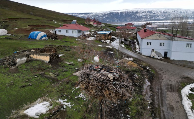 Burayı evi edindi | 3 yıldır göç etmeyen leylek hayrete düşürüyor