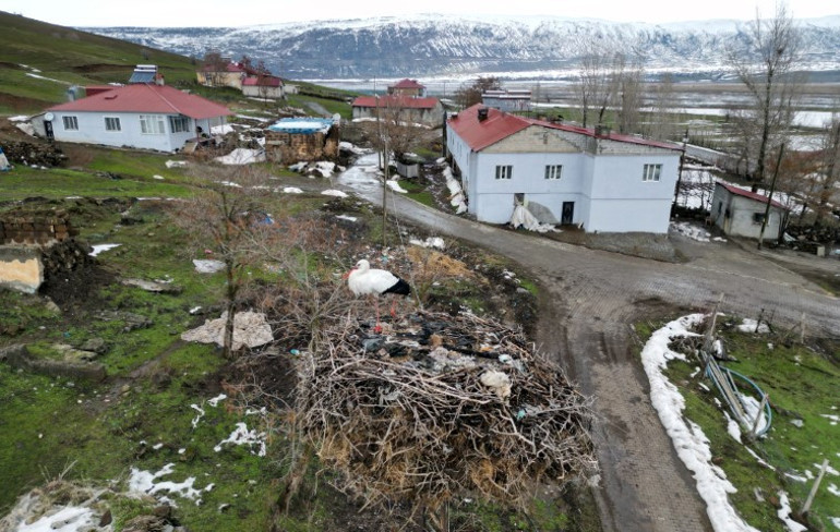 Burayı evi edindi | 3 yıldır göç etmeyen leylek hayrete düşürüyor
