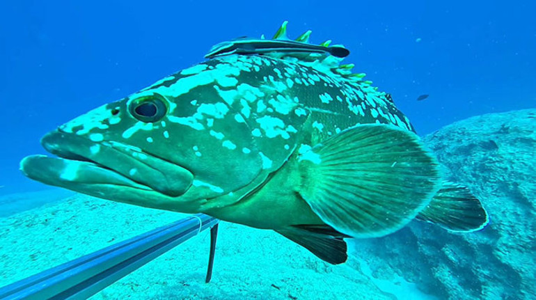 Sessiz katil olarak adlandırılıyor 4 yıl boyunca izlenecek