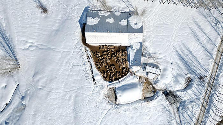 Doğup büyüdüğü mahallesine döndü: 4 yılda hayatı değişti Tüm zorluklara rağmen seviyorum