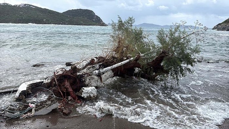 Meteoroloji saat verdi: Kuvvetli sağanak ve fırtına geliyor | Bu illerde yaşayanlar dikkat: Sel, su baskını, yıldırım, yerel dolu yağışı, heyelan...