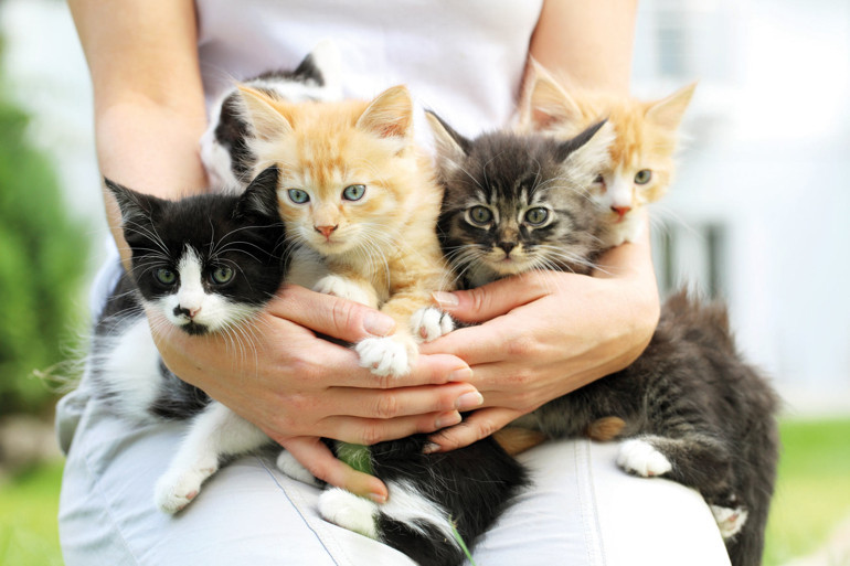 Adamların okullarında Noel nasıl kutlanıyor