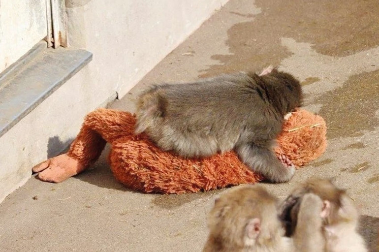 Çok ayrışmışız çok