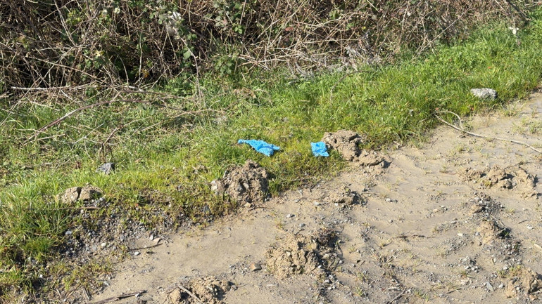 İstanbulda korkunç olay Çinli iş insanının cesedi elleri ve ayakları bağlı toprağa gömülü bulundu