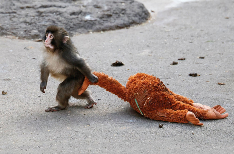 Punch sen bize ne yaptın böyle