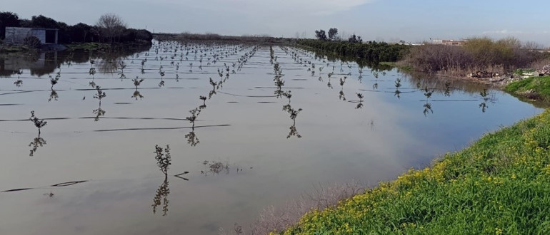 Şahin Bilgiç: Yağışları fırsata çevirmeliyiz