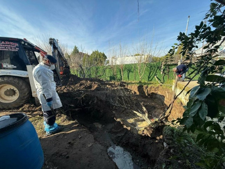  Eski enişte her şeyi itiraf etti