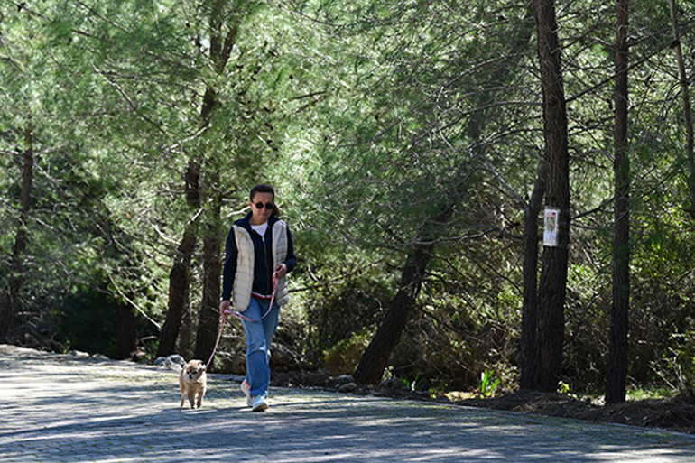 1.5 aydır aynı bölgeye gidip geliyorlar: 100 bin lira ödül verecekler Bir an önce ona kavuşmak istiyoruz