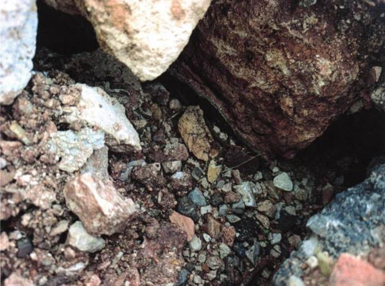 Korunması gereken milli servet kepçe ile yok edildi: Tepki çeken yıkıma suç duyurusu