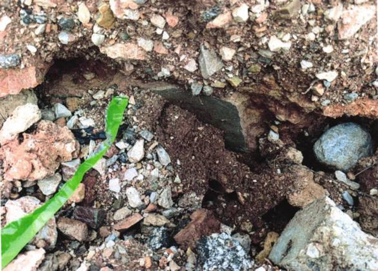 Korunması gereken milli servet kepçe ile yok edildi: Tepki çeken yıkıma suç duyurusu