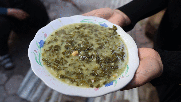 Doğadaki zehirli ot kara kazanda şifaya dönüşüyor