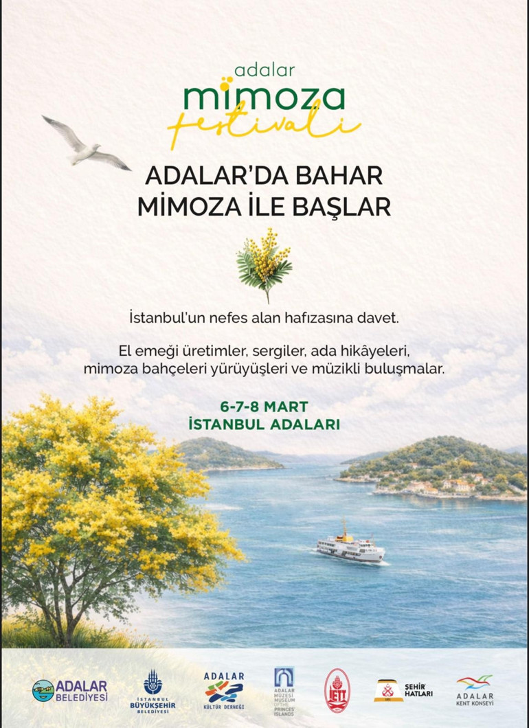 Mimozalar eşliğinde…
