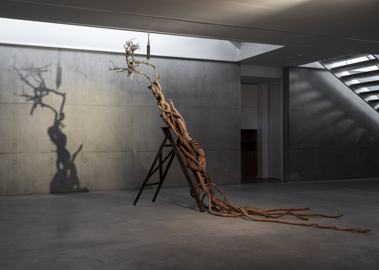 Mimozalar eşliğinde…