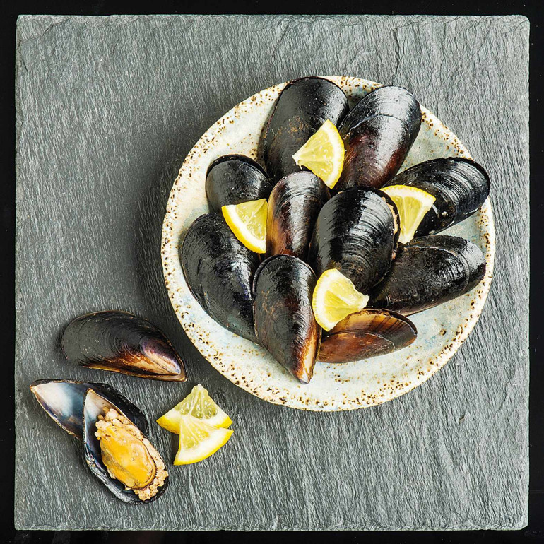 Göller, vaşaklar, hayalet ağlar...