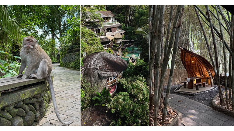 Balayı klişesinin ötesinde ‘tropik bir rüya’