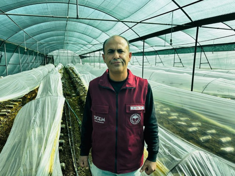  Kilosu 5 bin liradan satılıyor