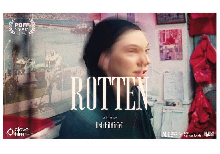 Bir ömre en fazla kaç kitap sığar