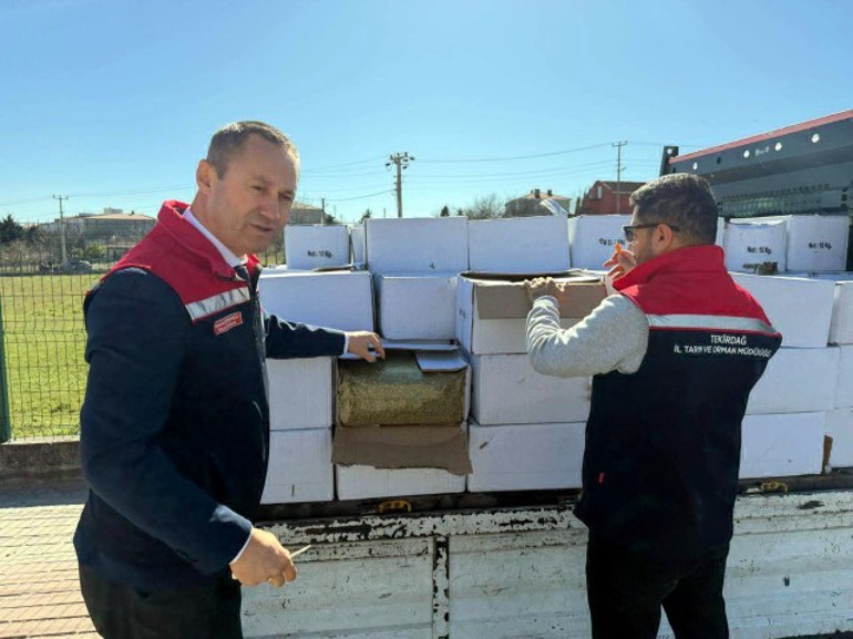 Baklavada kullanacaklardı: Gıda sahtekarları yakalandı