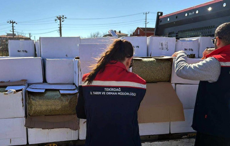 Baklavada kullanacaklardı: Gıda sahtekarları yakalandı