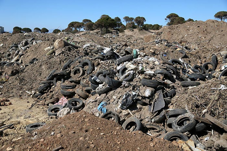 Antalyada kumsalın altında bulundu: 1500 tane olduğu tahmin ediliyor Bu katliama izin vermeyeceğiz