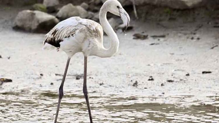 Milli Parklar’a yeni düzen