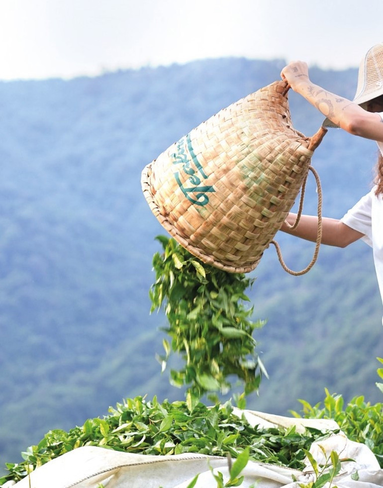 Kahve ve çay kültürümüz