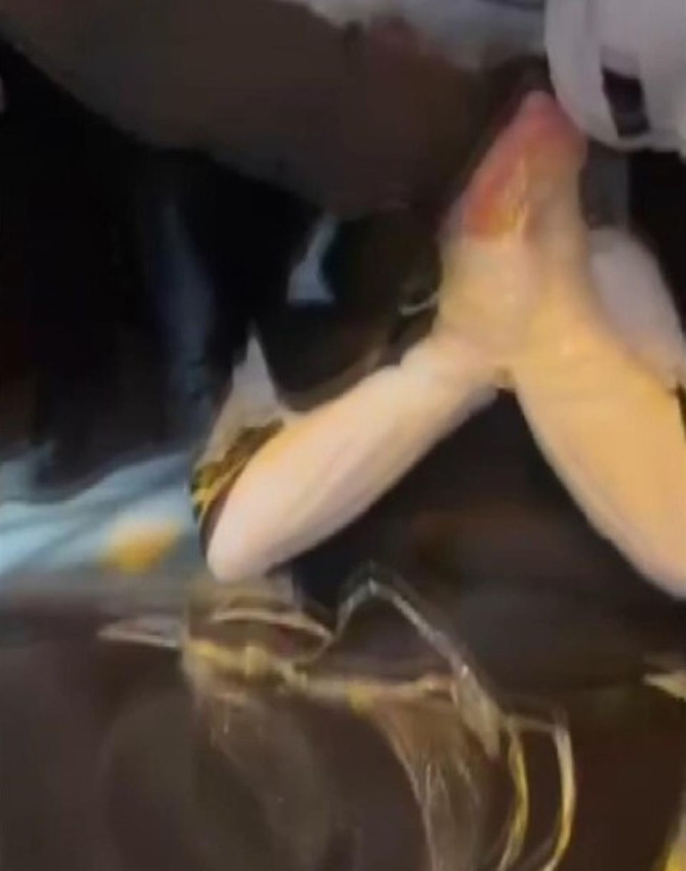 Dehşete düşüren olay Elleri ve ayakları bantlanarak akranları tarafından darbedildi