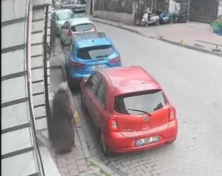 Sokakta durarak telefona bakan kadının elindeki telefonu çalıp kaçtı