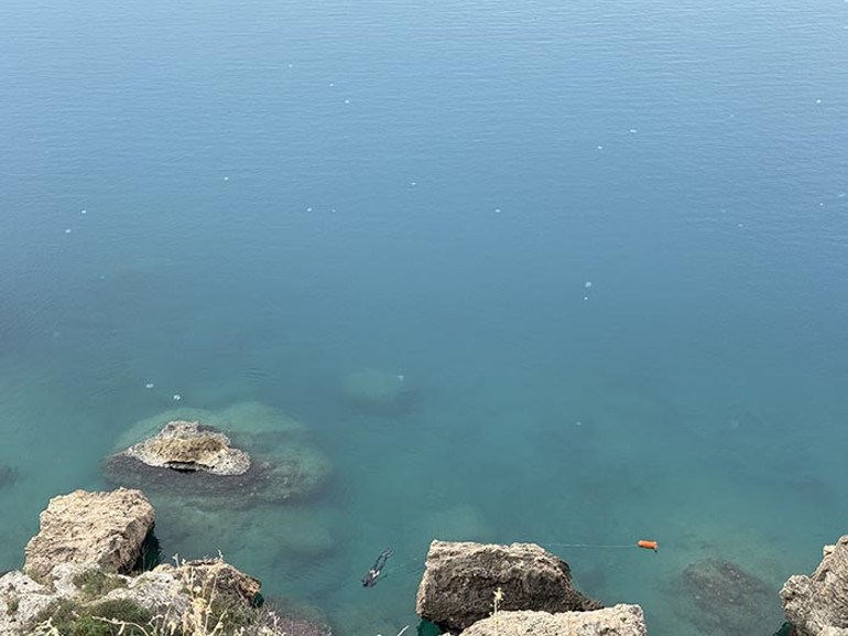 Kızıldeniz üzerinden Antalya kıyılarına geldi: Sürüler halinde geçiş yapıyorlar Hayatımda ilk defa böyle bir şey başıma geldi